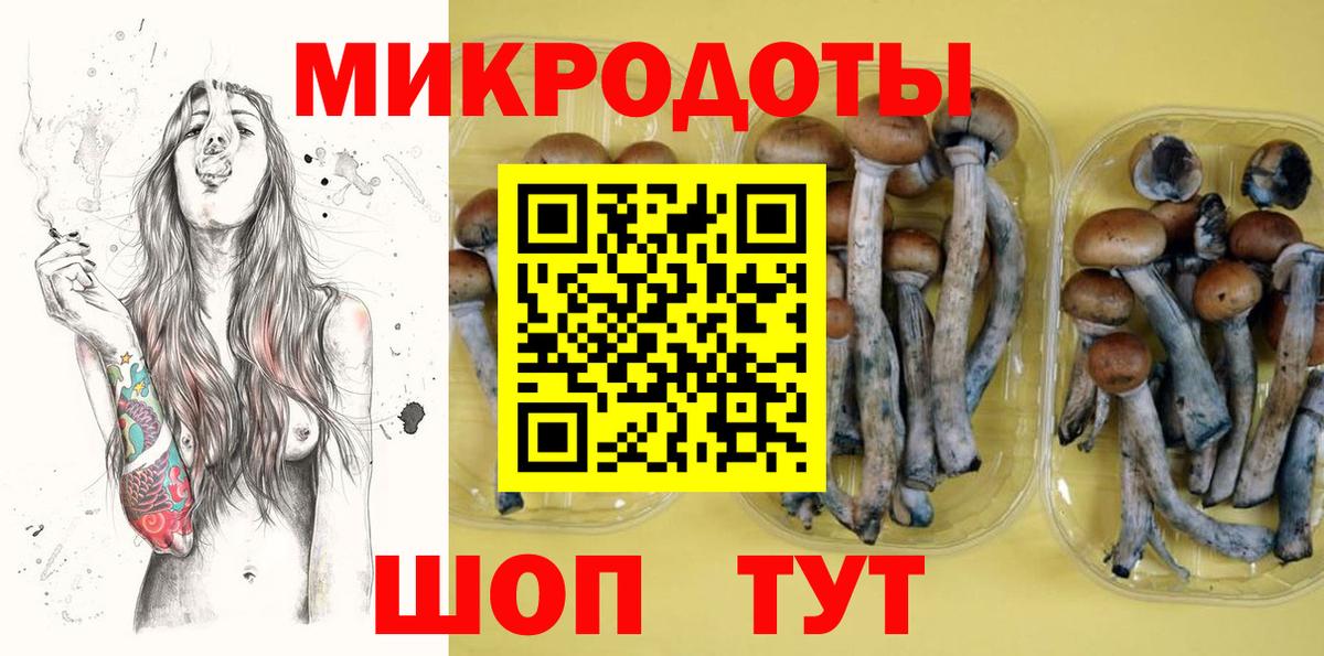 Кириши  Псилоцибиновые грибы мицелий  Вход с VPN 